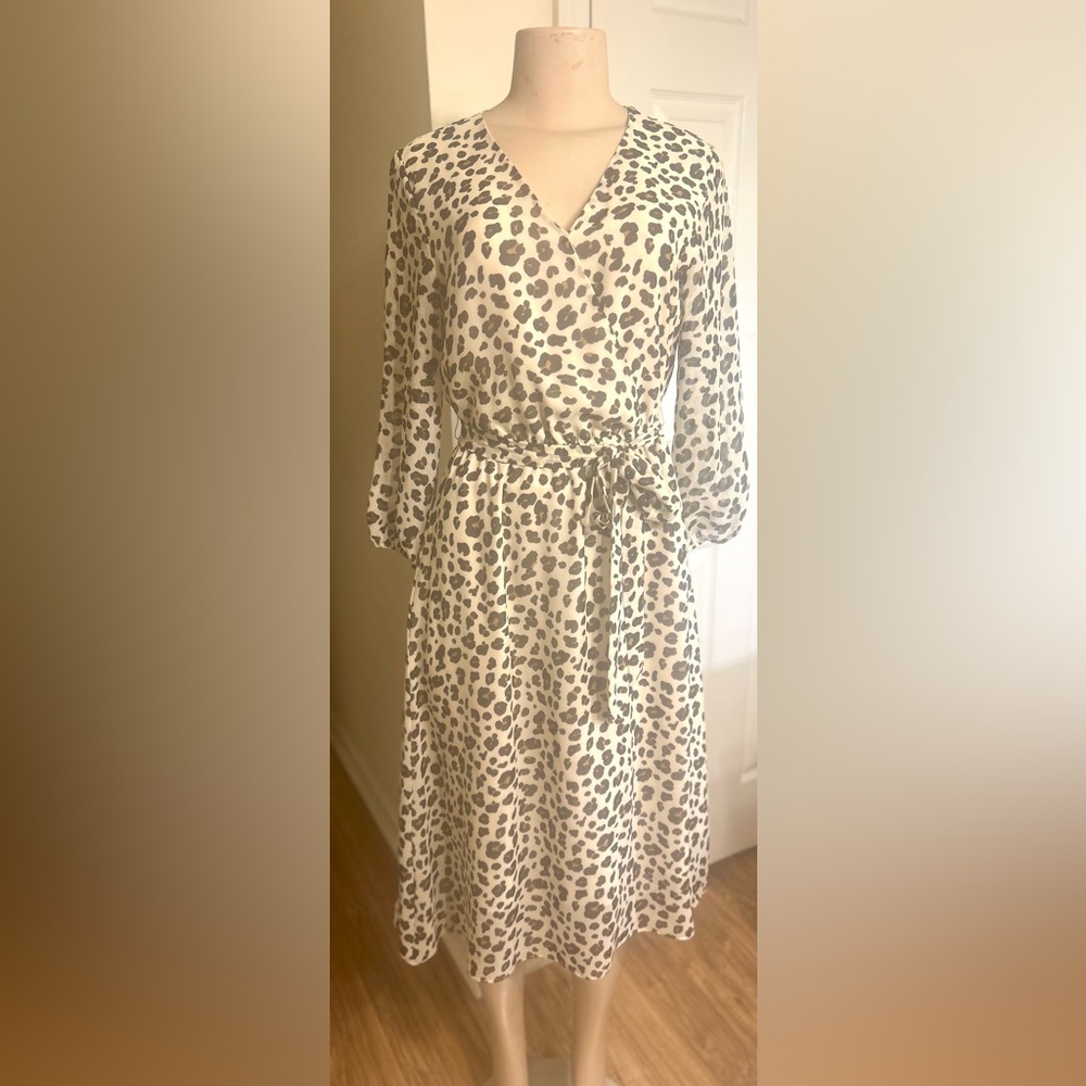 Ann Taylor Factory Leopard Print Long Sleeve Dress